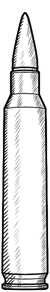 bullets